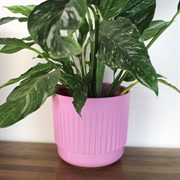 Горшок Бета 4,2л вереск с вкладышем - фото 70436