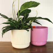 Горшок Бета 5,9л ванильный с вкладышем - фото 70437