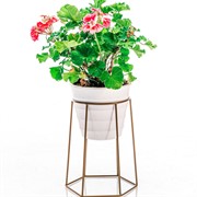 Подставка на подоконник на 1 цветок Лофт золото металл 66-600-G - фото 70462