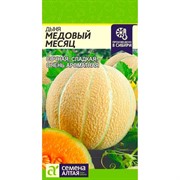 Дыня Медовая 0,5гр - фото 70480