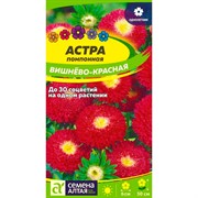 Астра Помпонная вишнёво-красная 0,2гр - фото 70492