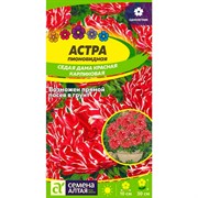 Астра Седая Дама красная карликовая 0,2гр - фото 70494