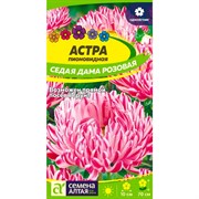 Астра Седая Дама розовая 0,1гр - фото 70495