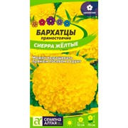 Бархатцы Сиерра жёлтые 0,3гр - фото 70546