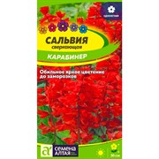 Сальвия Карабинер 0,1гр - фото 70569