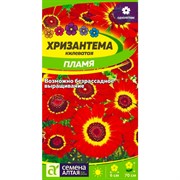 Хризантема Пламя килеватая 0,1гр - фото 70572