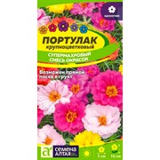 Портулак Супермахровый смесь 0,1гр - фото 70647