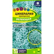 Цинерария Белеющая 0,1гр - фото 70650