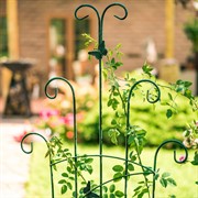 Шпалера для вьющихся растений высота 180см 57-050 - фото 70691