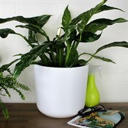 Горшок Лион 9л белый-белый с вкладышем - фото 70723