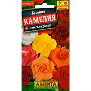 Бегония Император F1 смесь - фото 70774