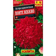Астра Понте Веккио - фото 70783
