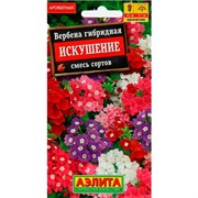 Вербена Искушение - фото 70789