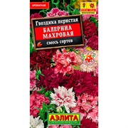 Гвоздика Балерина смесь - фото 70793