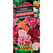 Годеция Азалиецветковая смесь - фото 70795