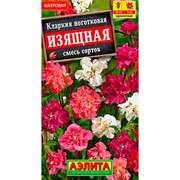 Кларкия изящная - фото 70797