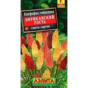 Книфофия Африканский гость - фото 70798