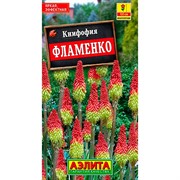 Книфофия ягодная Фламенко - фото 70799 Книфофия ягодная Фламенко - фото 70799