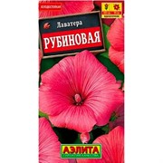 Лаватера Рубиновая - фото 70801