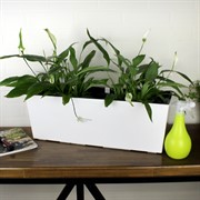 Горшок Бегония 12л 19х56х19,5 белый - фото 70826