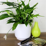 Горшок Дельта 17х17 3,2 л белый с вкладкой - фото 70829