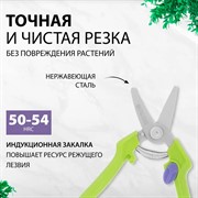 Секатор Палисад цветочный 190мм - фото 70941