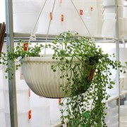 Кашпо Верде подвесное 6л белый - фото 71036