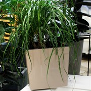 Горшок Квадро 23,4л фраппе с вкладкой - фото 71049