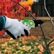 Секатор Палисад с наковальней 210мм пластиковые рукоятки - фото 71072