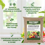 Диатомит садовый почвоулучшитель природный кизельгур Био крошка 5л - фото 71211