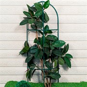 Опора для растений металлическая полукруглая 2 секции разборная 58-993R-Gr 2 части - фото 71601