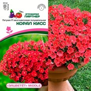 Петуния Зацветёт F1 Мидл Корал Кисс 5шт - фото 72201