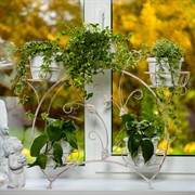 Подставка для цветов на подоконник на 5 цветов металл бело-золотая 14-915-WG - фото 72220