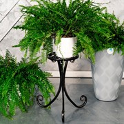 Подставка напольная под 1 цветок металл высота 45см 401-012BG - фото 72255