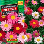 Персидская ромашка Робинзон смесь - фото 72395