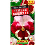 Виола Зимняя вишня - фото 72404