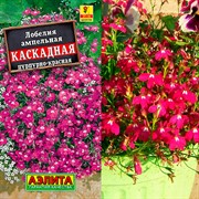 Лобелия Каскадная пурпурно-красная - фото 72406