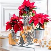 Подставка под цветы на подоконник Месяц серебро металл 660-024S - фото 72416