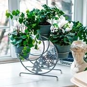 Подставка под цветы на подоконник Месяц серебро металл 660-024S - фото 72418