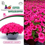 Петуния Зацветет F1 Шорт Фрешбэрри 5шт - фото 72447