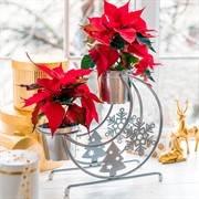 Подставка под цветы на подоконник Месяц серебро металл 660-024S - фото 72454