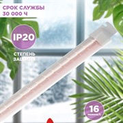 Светильник для растений ФИТО 10W-T5-RB-Slim красно-синего спектра ЭРА - фото 72459