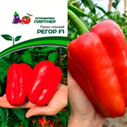 Перец Регор F1 5шт раннеспелый - фото 72487 Перец Регор F1 5шт раннеспелый - фото 72487