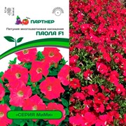 Петуния Мими F1 Паола 5шт - фото 72495