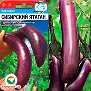 Баклажан Сибирский ятаган 20шт - фото 72505