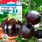 Баклажан Грибное чудо 20шт - фото 72550