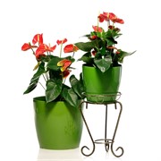 Подставка напольная на 1 цветок Классика кованая высота 45см 70-091 - фото 72827 Подставка напольная на 1 цветок Классика кованая высота 45см 70-091 - фото 72827