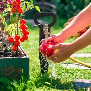 Кронштейн с краном на грядки 550-004Br - фото 72971