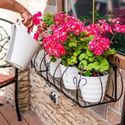 Подставка балконная для ящика на стену длина 84см кованая 51-283 - фото 72974