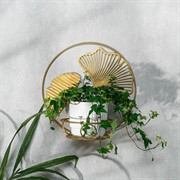 Подставка настенная на 1 цветок Гинкго металл золотая 15-113G - фото 73009